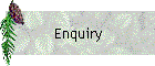 Enquiry