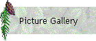 Picture Gallery