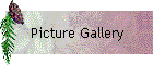 Picture Gallery